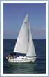 Hunter 38
